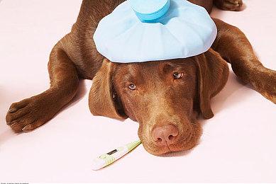 《The Meridian Gate》Steam上线 类只狼横版刀剑战斗